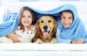 гомеопатия для домашних животных Юпрана-Владивосток