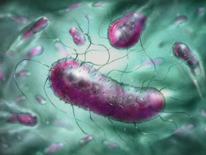 лечение бактерий без антибиотиков